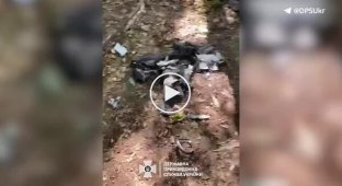 Border guards shot down several enemy UAVs in the Vovchansk direction