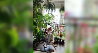 A Chinese woman living in an apartment in a big city created an atmosphere of peace and quiet