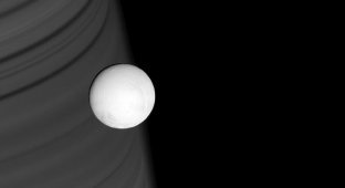 Энцелад — шестой спутник Сатурна (23 фото)