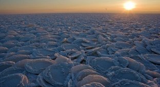 Блинчатый лёд на Онежском озере (5 фото)
