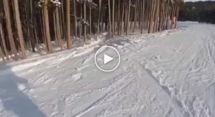 Неудачно прокатился на лыжах по лесу