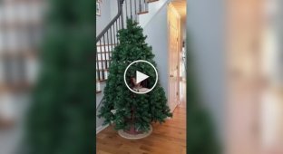Новорічна ялинка для котів