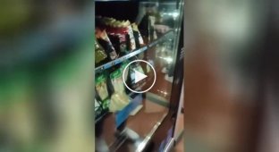 Trying to get a sandwich stuck in a food machine