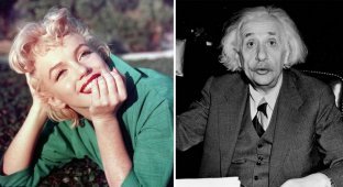 13 celebrities who continue to get rich after death (14 photos)