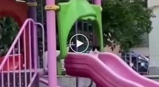 Когда в парке никого нет, маленький котенок тайком катается с горки