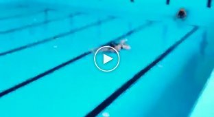 Плаванье в вольном стиле на 200 метров