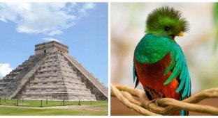 The Temple of Kukulkan - an ancient religious building and its living voices (8 photos + 1 video)
