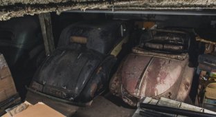 На заброшенной подземной парковке в Нью-Йорке найдены автомобили, простоявшие там 40 лет (40 фото)