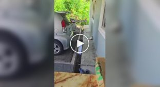 A Cat Chose an Unusual Place to Sleep