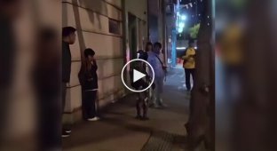 Поліція Макао затримала робота за приставання до літньої жінки