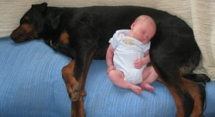 25 dogs that madly love their little owners!