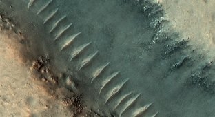 Pipes on Mars, called "glass worms" (9 photos)