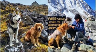 The blogger went to the mountains with dogs - and showed amazing photos from the hike (23 photos + 1 video)