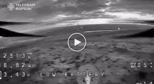 Прикордонники перехопили російські дрони на Бахмутському напрямі