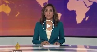 A rat burst into a live broadcast of Al Jazeera and almost drove the presenter crazy