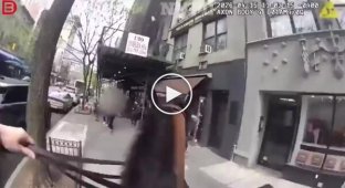 A Horse Chase in Downtown New York Ended in Failure for a Pickpocket