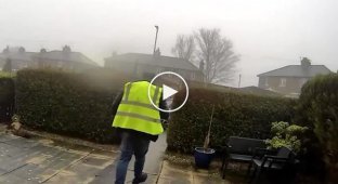 Курьер украл кошку клиента и попал на видео