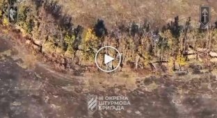 Дрони 3-ї ОШБр знищили ворожу МТ-ЛБ, міномет та піхоту окупантів у Харківській області