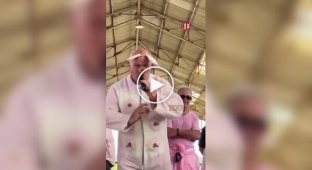 Pig Squealing Championship