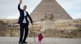 Самый высокий в мире мужчина и самая маленькая в мире женщина повстречались у египетских пирамид (7 фото)