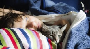 Если кошка любит спать в вашей постели - вот что это значит (3 фото)