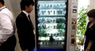 Первый в мире торговый автомат с прозрачным дисплеем