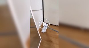 Странные видео (короткие видео). Выпуск 41