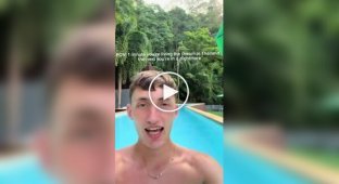 Обезьяны выгнали британца из бассейна