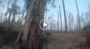 Fragment of a shooting battle in the Kremensky forest from the first person of a Ukrainian military man