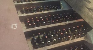 Beer bottles on the floor (3 photos)