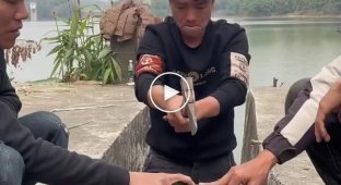 Trust on the verge of madness