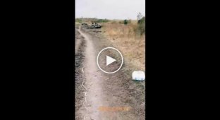 Аллея сгоревшей российской техники, на переднем плане танки Т-72. Роботино на Запорожском направление