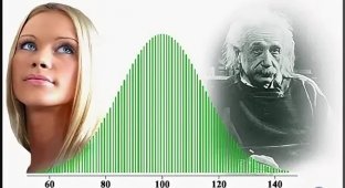 Названы некоторые признаки высокого IQ (2 фото)