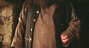 Hagrid in a new series HBO to star British actor Nick Frost (6 photos)