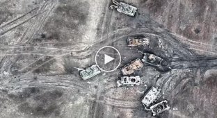 Результат атак российских военных в районе села Терны Донецкой области