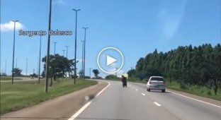 Погоня за упрямым мотоциклистом по встречной