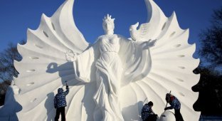 16 фестиваль снега и льда в Харбине (12 фото)