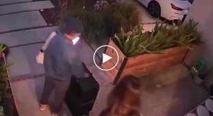 A Cat Waved to Its Owner going on vacation