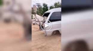 One horsepower and all-wheel drive