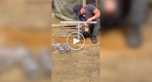 Годівниці для птахів з пляшок