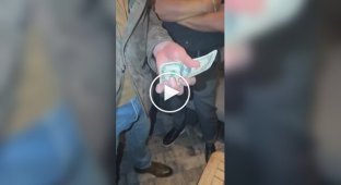 Денежный маг