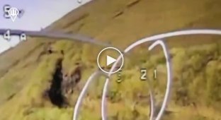 Ukrainian kamikaze drones fly into the trenches of the Russian military in the Eastern direction