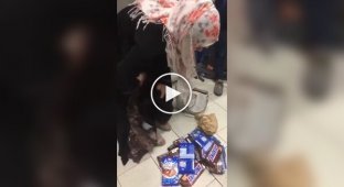Две женщины пытались вынести под юбкой продукты из магазина