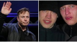Elon Musk asked Twitter users if he should leave the post of head of the social network (4 photos)