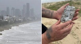 An Australian found “sperm whale vomit” worth about $30,000 on the beach (2 photos)