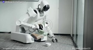 Кормит котиков, печет вафли и заваривает чай: робот, который выполняет любую работу по дому