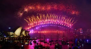 Как люди во всем мире встретили Новый год (20 фото)