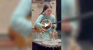 Orteke: unique Kazakh musical puppet art