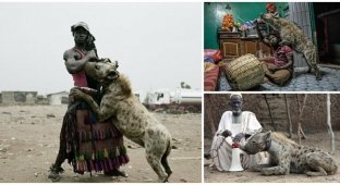 Африканские страсти: как приручить зверюгу (21 фото + 1 видео)