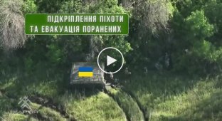 Українські військові за підтримки бронетехніки штурмують російські позиції біля села Глибоке Харківської області